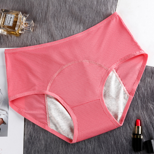5PCS Menstrual Underwear Women Leak Proof Panties 5PCS Menstrual Underwear Women Leak Proof Panties